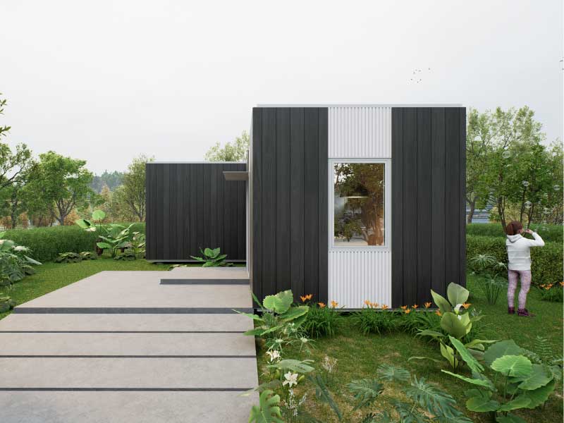 Modelo Línea Evolutiva EM